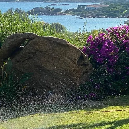Gli Oleandri 128 - Costa Smeralda -